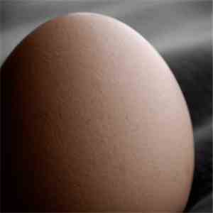 Kapotte Muziek - Egg album