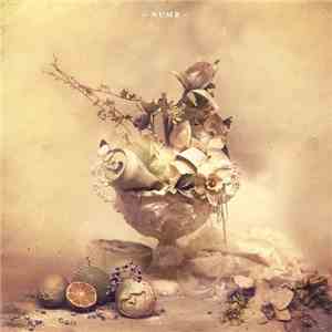 KRNE, SAINTS  - Numb album
