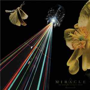Miracle  - The Strife Of Love In A Dream album
