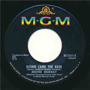 Mister Murray - Down Came The Rain / Whatever Happened To Music? album