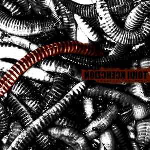 Noizcheck Idiot - Chaotic Feelings album