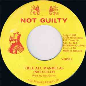 Not Guilty  - Free All Mandelas album