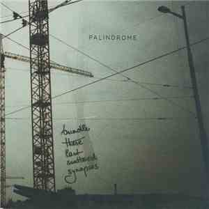 Palindrome  - Bundle These Last Scattered Synapses album