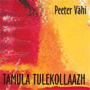 Peeter Vähi - Tamula Tulekollaazh album