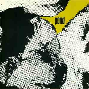 Pond  - Glass Sparkles In Their Hair / Sundial album