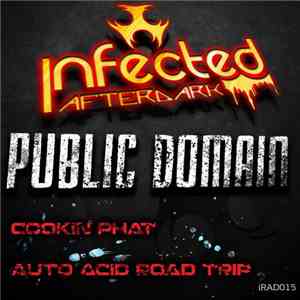 Public Domain - Cookin Phat / Auto Acid Road Trip album