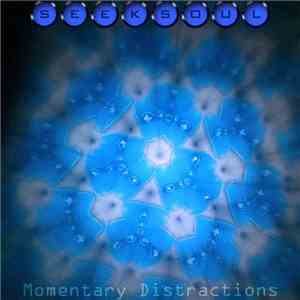 Seeksoul - Momentary Distractions album