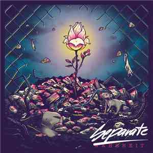 Separate - Wahrheit album