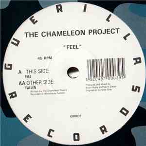 The Chameleon Project - Feel album