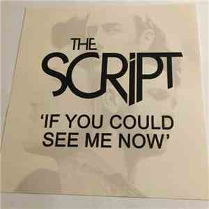 The Script - If You Could See Me album