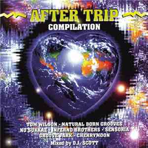 Various - After Trip Compilation album