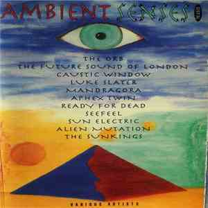 Various - Ambient Senses - The Vision album