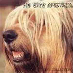 Various - We Bite America - The Collection album