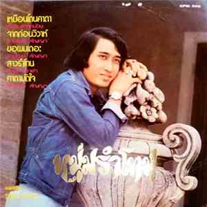 สายัณห์ สัญญา - หนุ่มรำโทน / กลองยาวชาวทุ่ง album