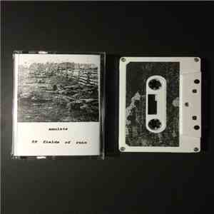 Amulets - 59 Fields Of Ruin album