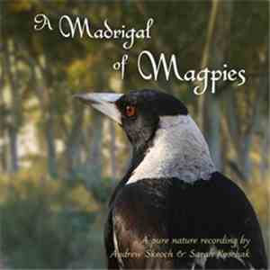 Andrew Skeoch  & Sarah Koschak - A Madrigal Of Magpies album