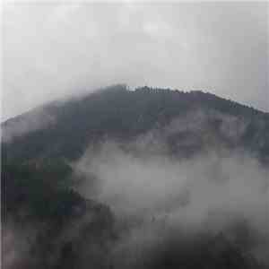 Asukrai - Fog II album