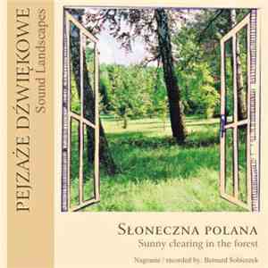 Bernard Sobieszek - Słoneczna Polana / Sunny Clearing In The Forest album