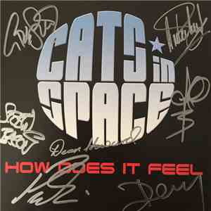 Cats In Space - How Does It Feel album