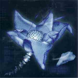 Counter-World Experience - Leaving Lotus album