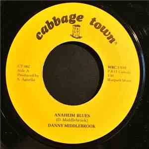 Danny Middlebrook - Anaheim Blues / Texas Ain't Got... album