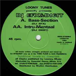 DJ EFX & Digit - Bass-Section / Intru-Mentaal album