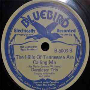 Donaldson Trio - When It's Lamp Lightin' Time In The Valley / The Hills Of Tennessee Are Calling Me album