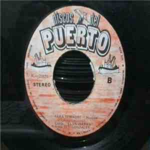 Elva Ibarra - Brujo Bandido / Para Ti Madre album