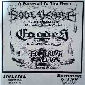 Festering Saliva - A Farewell To The Flesh album