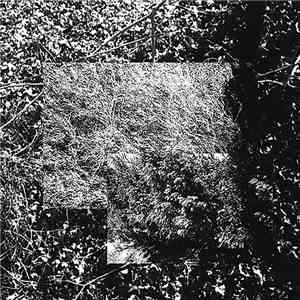Fever Dream Horror Scene - Fever Dream Horror Scene album
