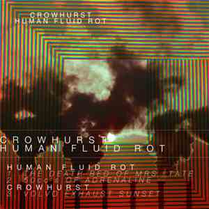 Human Fluid Rot / Crowhurst - Human Fluid Rot / Crowhurst Split album
