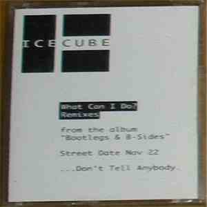 Ice Cube - What Can I Do? album