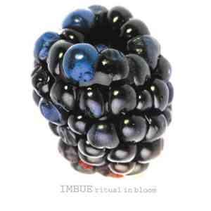 Imbue - Ritual In Bloom album