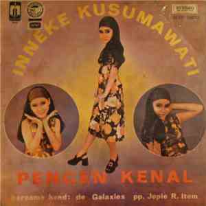 Inneke Kusumawati Bersama Band De Galaxies - Pengen Kenal album