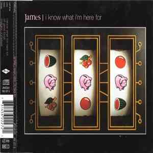 James - I Know What I'm Here For album