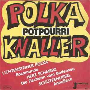 Joe & Die Party Singers - Polka-Knaller (Potpourri) album