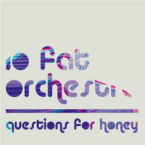 Lo Fat Orchestra - Questions For Honey album