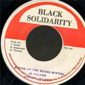 Michael Palmer - String Up The Sound System album