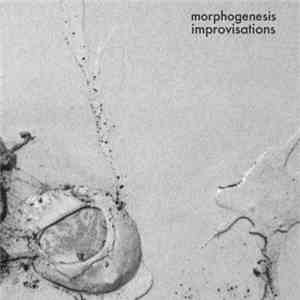 Morphogenesis - Improvisations album
