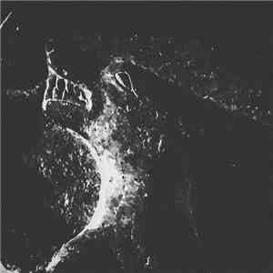 Nereide (IT) - PS album