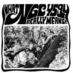 NGC-4594 - What Really Means! album