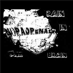 Noradrenalin - Pain In The Brain album