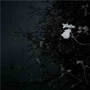 Olga Shaydullina & Stanislav Vdovin - Sirenes album