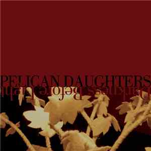 Pelican Daughters - Darkness Before Light album