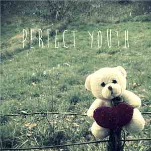 Perfect Youth - Demo '13 album