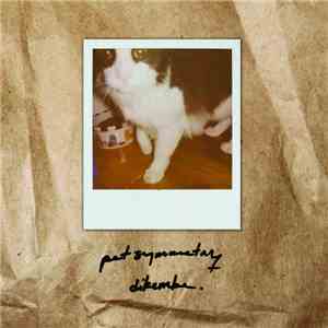 Pet Symmetry / Dikembe - Pet Symmetry / Dikembe album