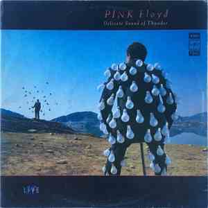 Pink Floyd - Delicate Sound Of Thunder album