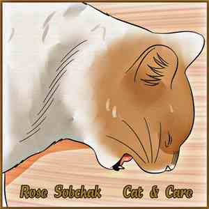 Rose Sobchak - Cat & Care album
