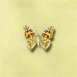 Sadia - A Language Of Butterfly Wings album