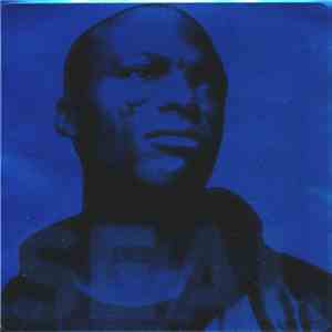 Seal - Waiting For You album